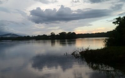 Essequibo River